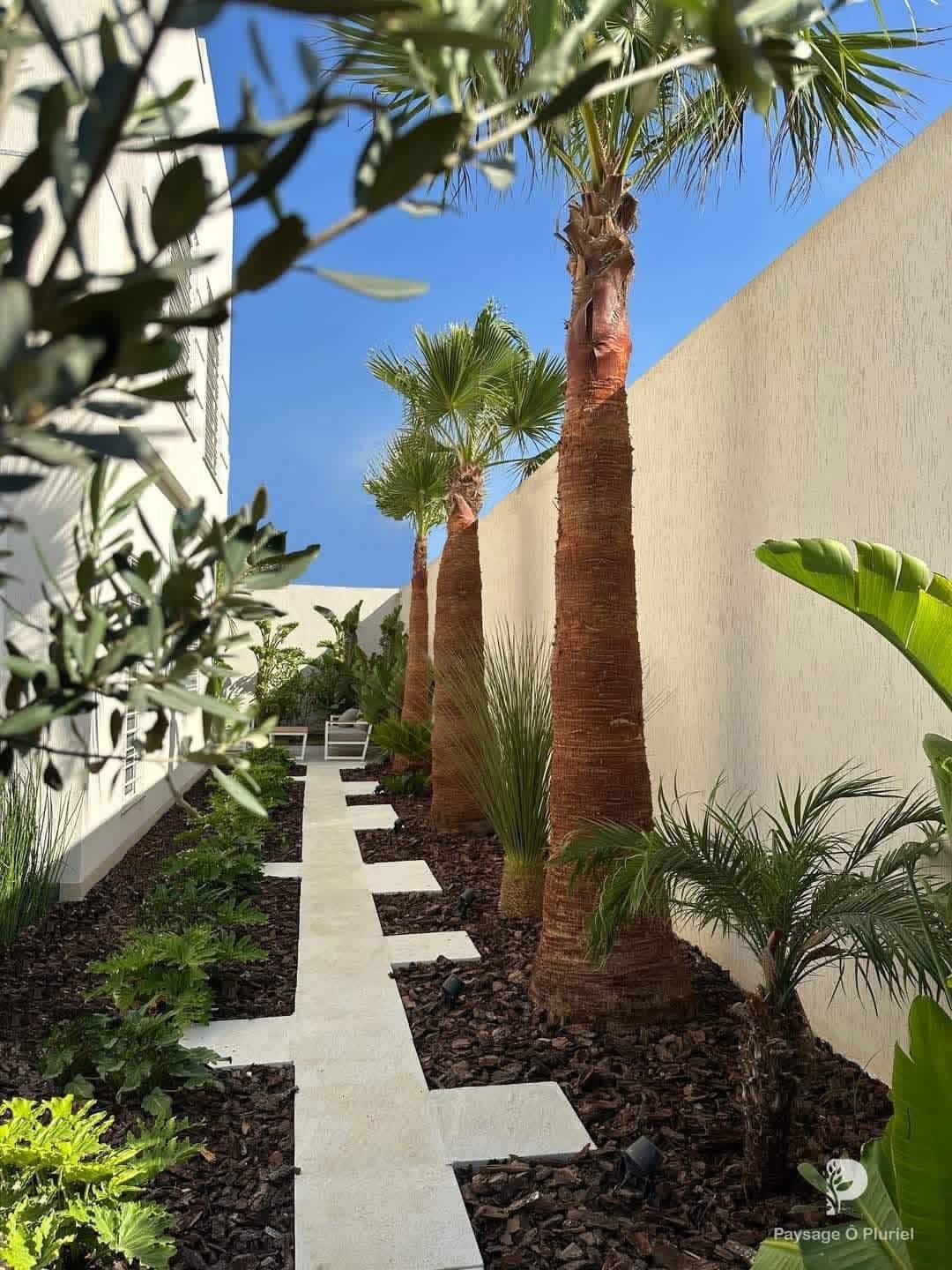 صيانة الحدائق