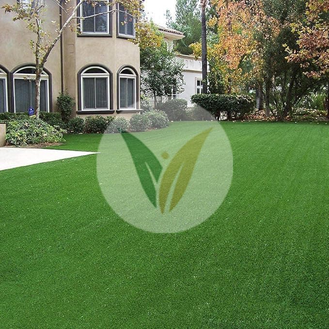 باسبالوم غراس