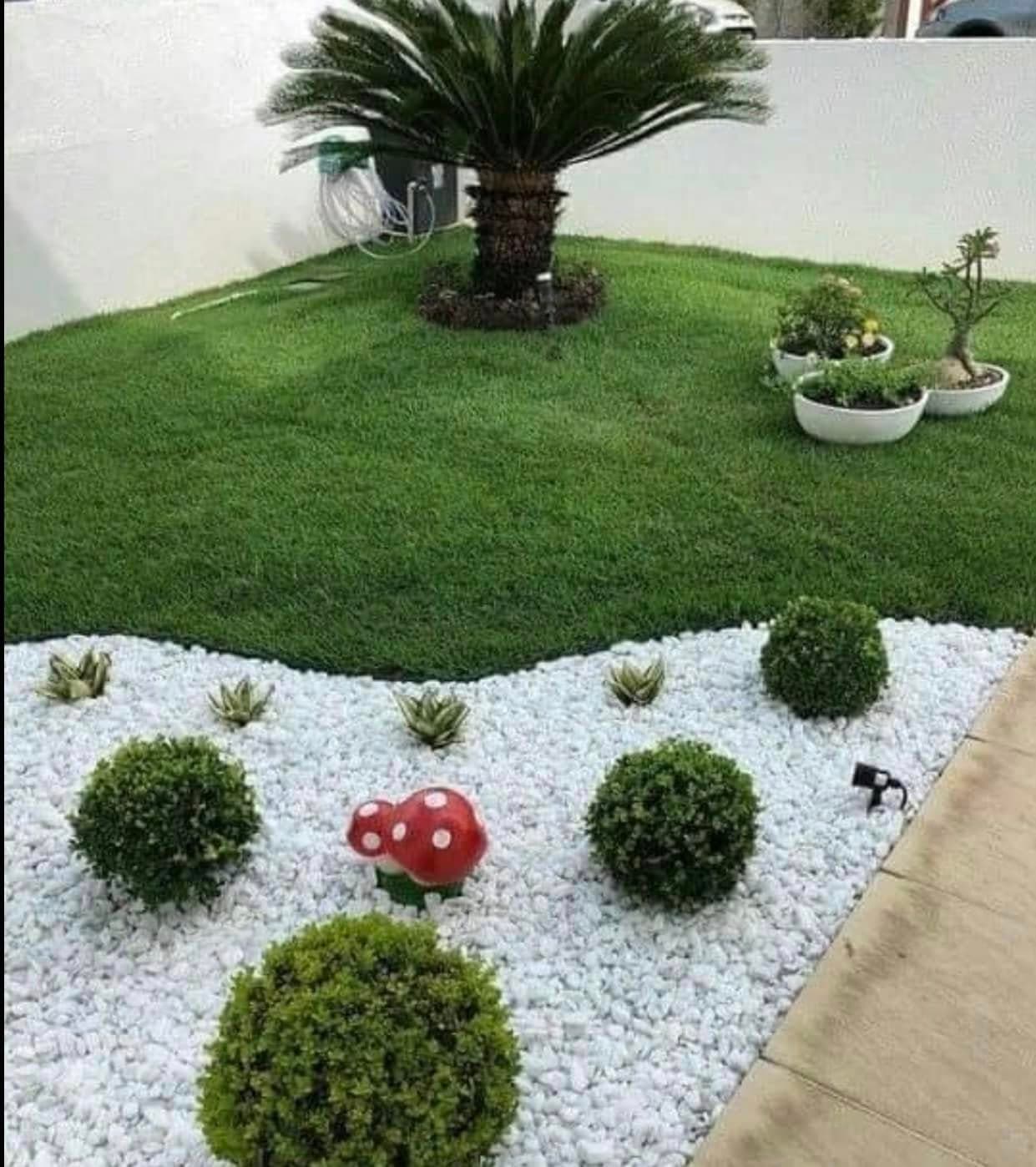 عشب طبيعي وعشب صناعي